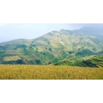 Tour Sapa: Hà Nội - Sapa - Fansipan - Cát Cát - Moana - GAT5